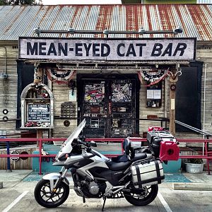 Nana Chou - Mean-Eyed Cat Bar