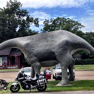 Nana Chou meets Dino - Wharton, Texas